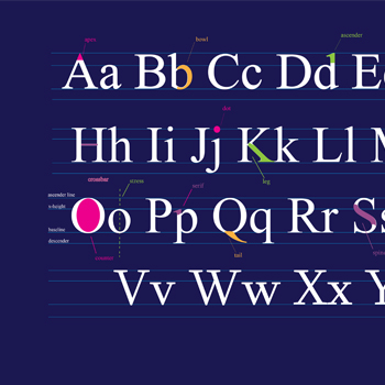 Anatomy of Typography